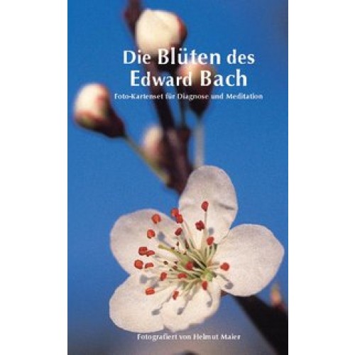 Edition Tirta: Kartenset Die Blüten des Edward Bach