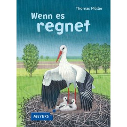 Wenn es regnet [Pappbilderbuch] [2016] Müller, Thomas