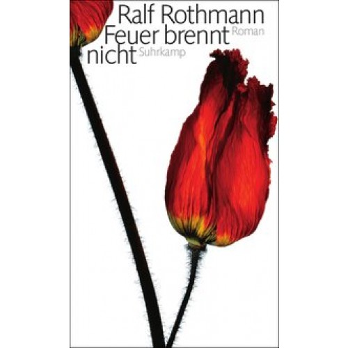Feuer brennt nicht: Roman [Gebundene Ausgabe] [2009] Rothmann, Ralf
