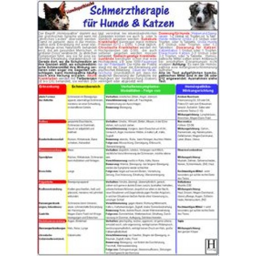 Homöopathische Schmerztherapiefür Hunde & Katzen