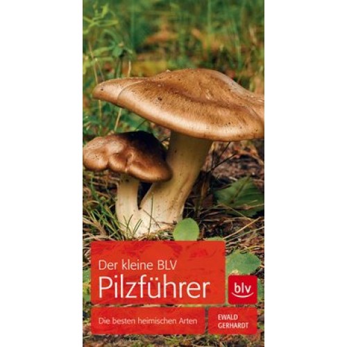 Der kleine BLV Pilzführer [Taschenbuch] [2014] Gerhardt, Ewald